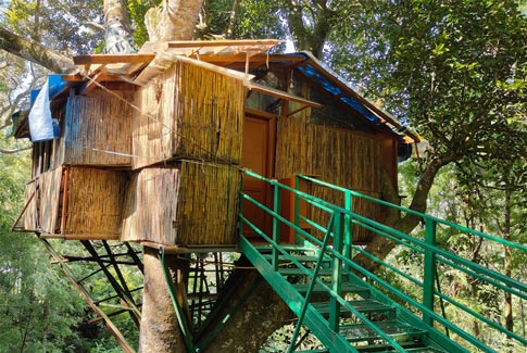 Tipperary Treehouse