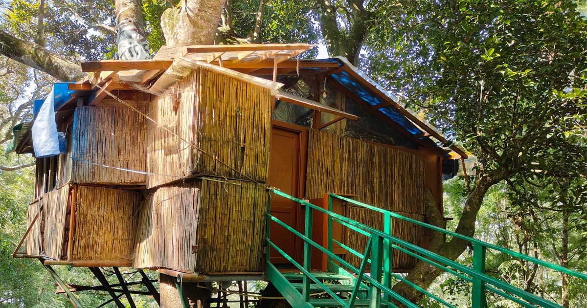 Tipperary Treehouse Honeymoon destination in Yercaud